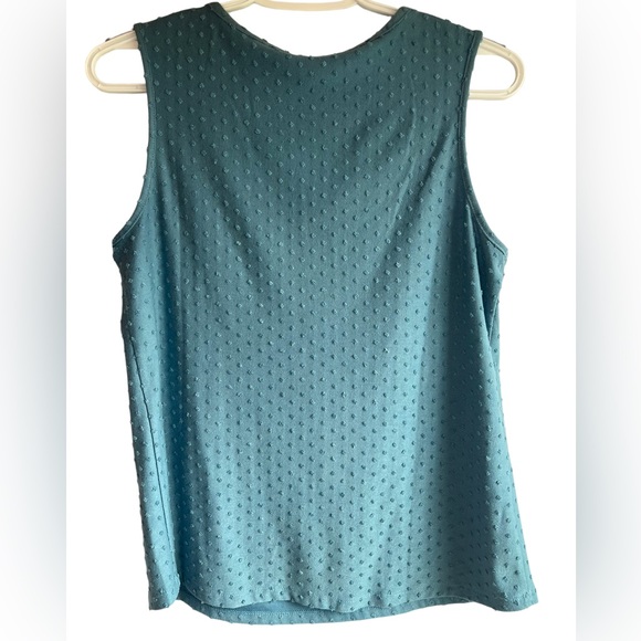 Daniel Rainn Swiss Dot Blouse - Picture 5 of 5